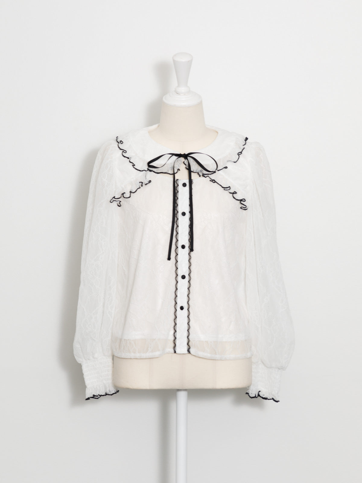 カラー:ホワイト