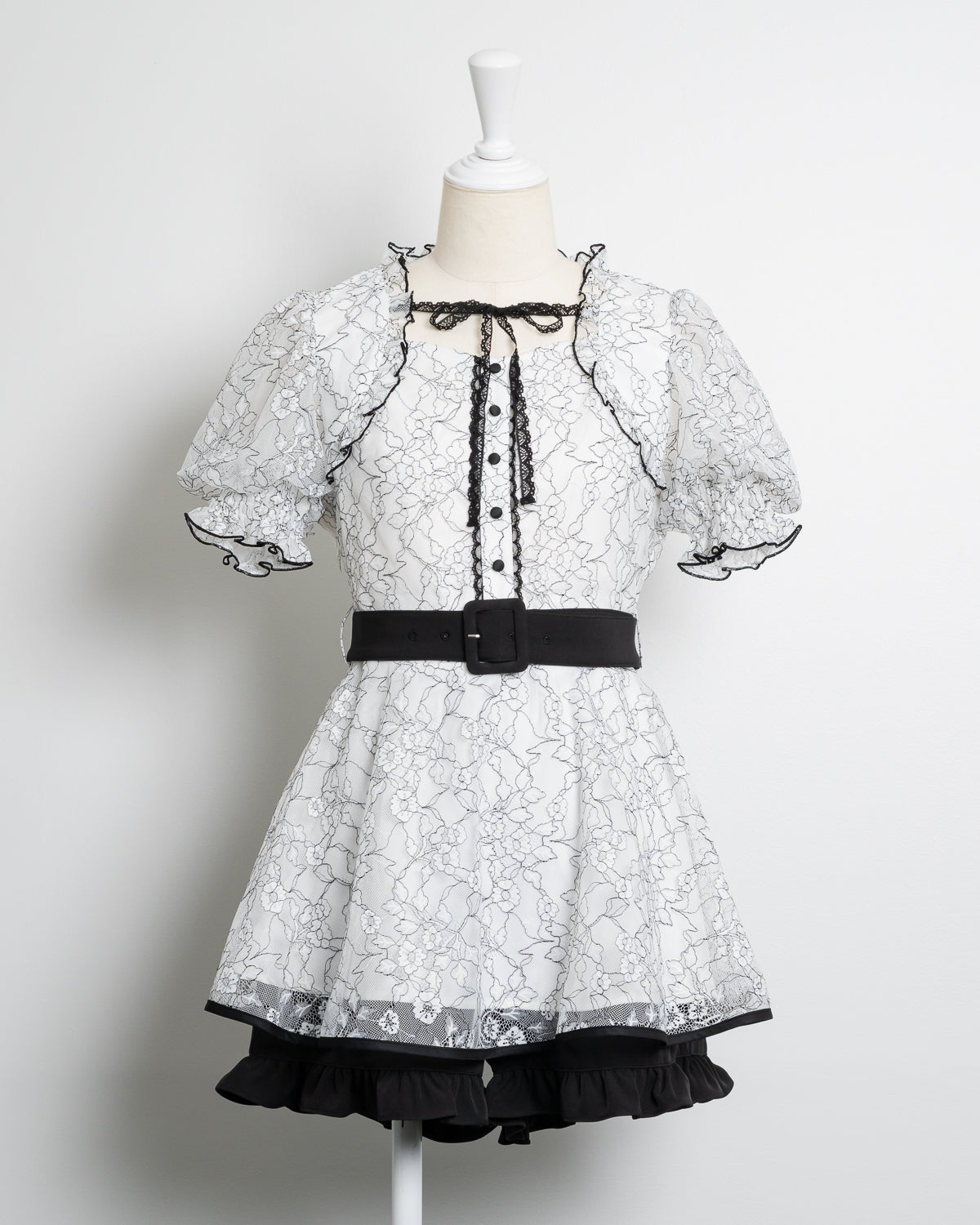 カラー:ホワイト