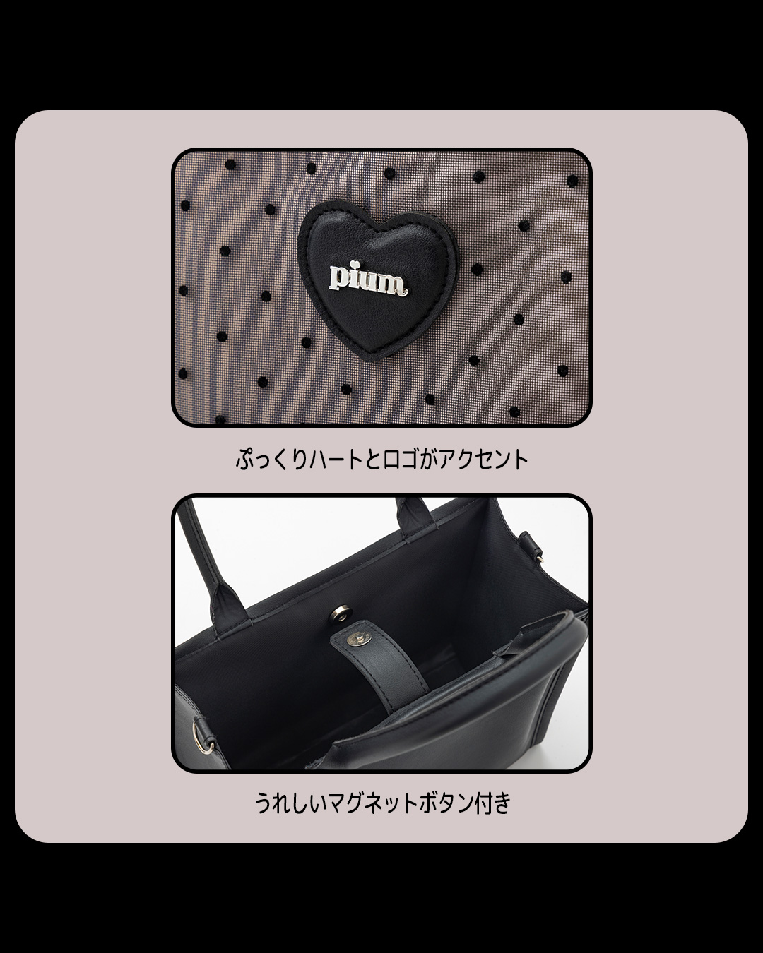 pium SPECIAL BAG BOOK