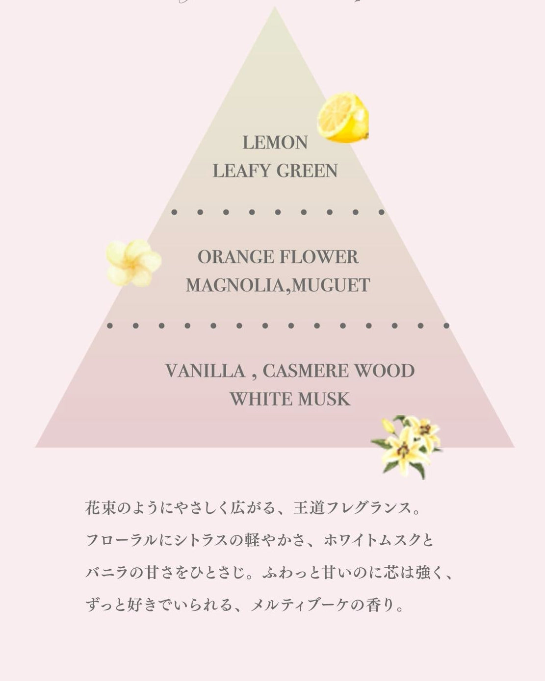 定価以下♡ pium beauty Melty Bouquet SET BOX Melty Bouquet SET BOX – pium